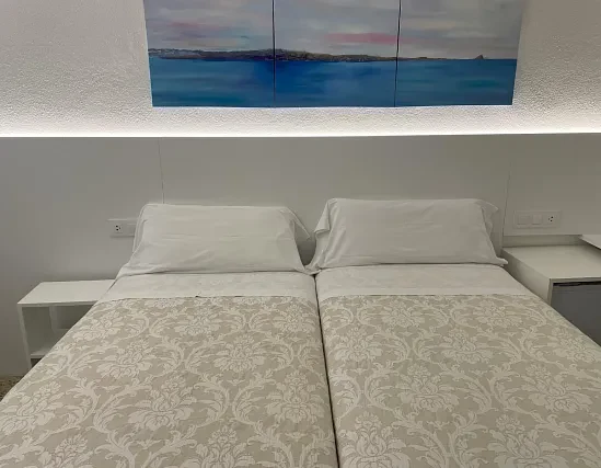 Habitació Doble Estàndard amb 2 llits