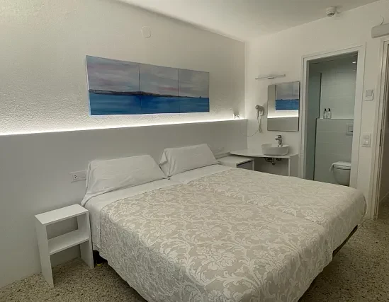 Habitació Doble Estàndard amb 2 llits